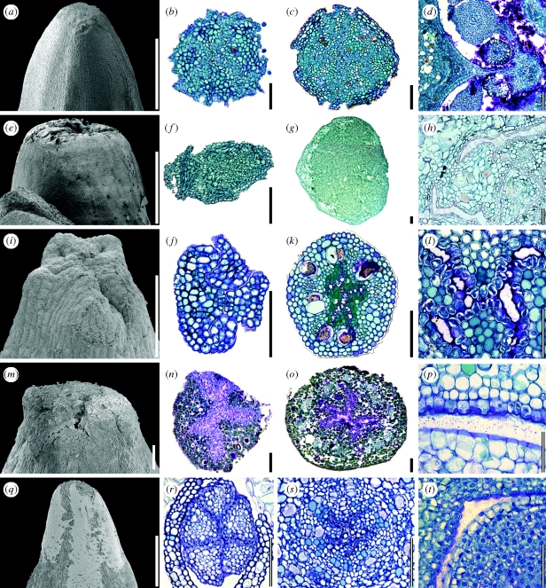 Figure 4.