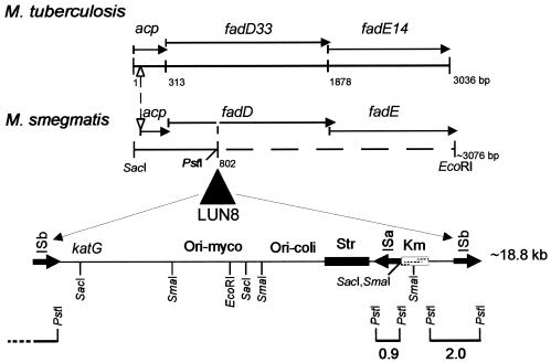 FIG. 5.