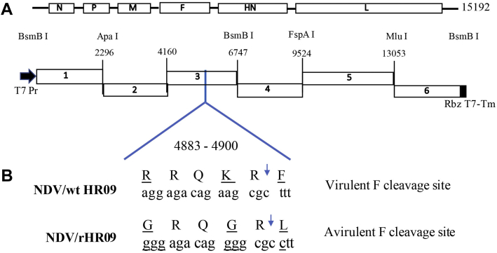 Figure 1