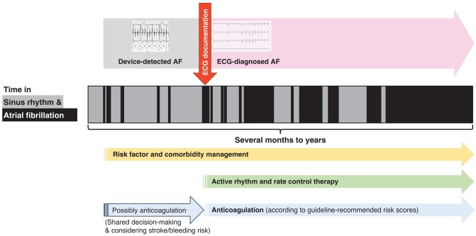 Graphical Abstract