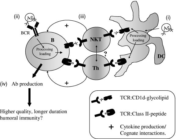 FIG. 2.