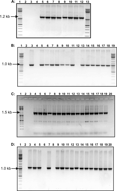 FIG. 4.