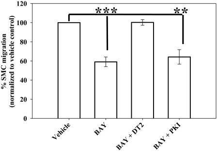 Fig. 9.