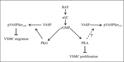 Fig. 10.