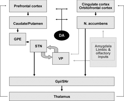 Fig 3