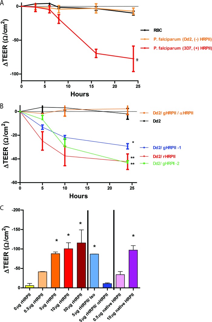 FIG 1 