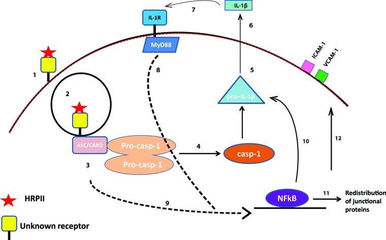 FIG 6 