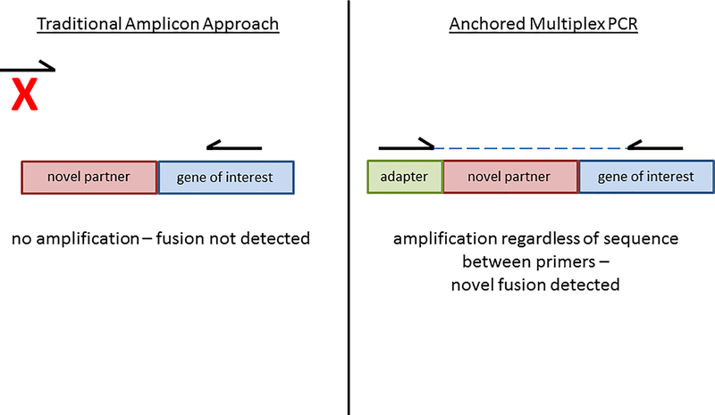 Figure 1 –