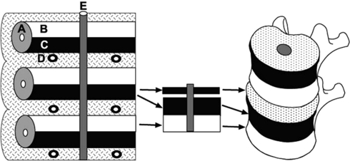 Fig. 6