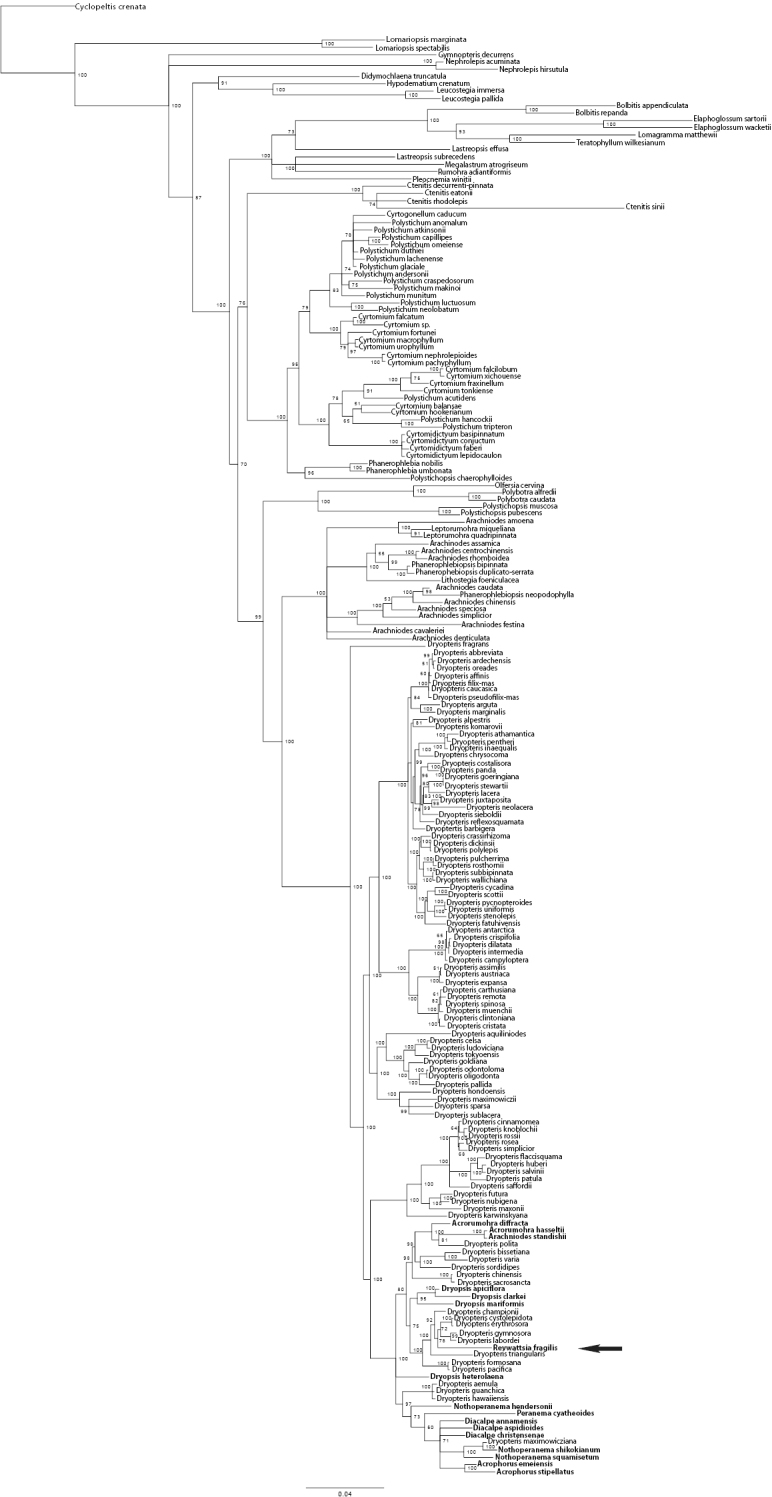 Figure 2.