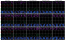 Figure 5—figure supplement 5.