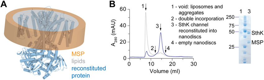 Figure 2: