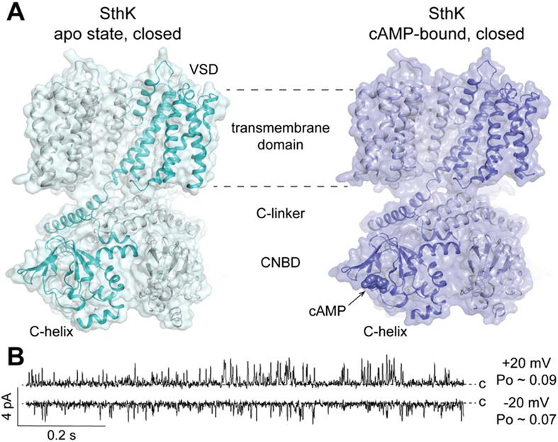 Figure 5: