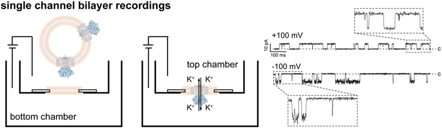 Figure 4: