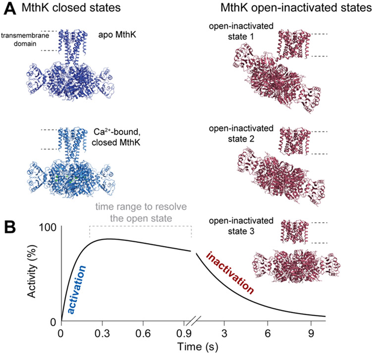 Figure 6: