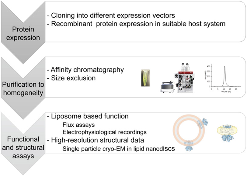 Figure 1: