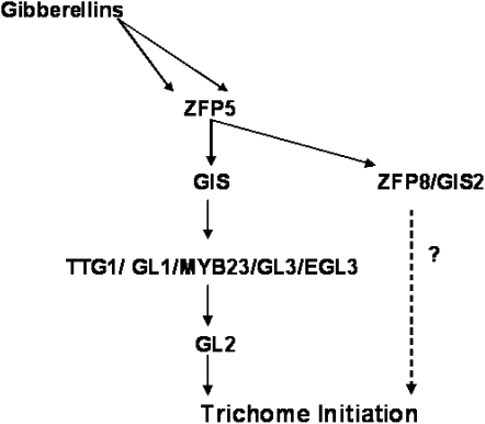 Figure 12.