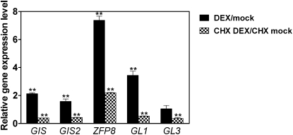 Figure 9.