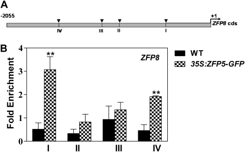 Figure 10.