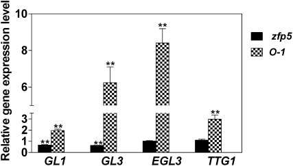 Figure 6.