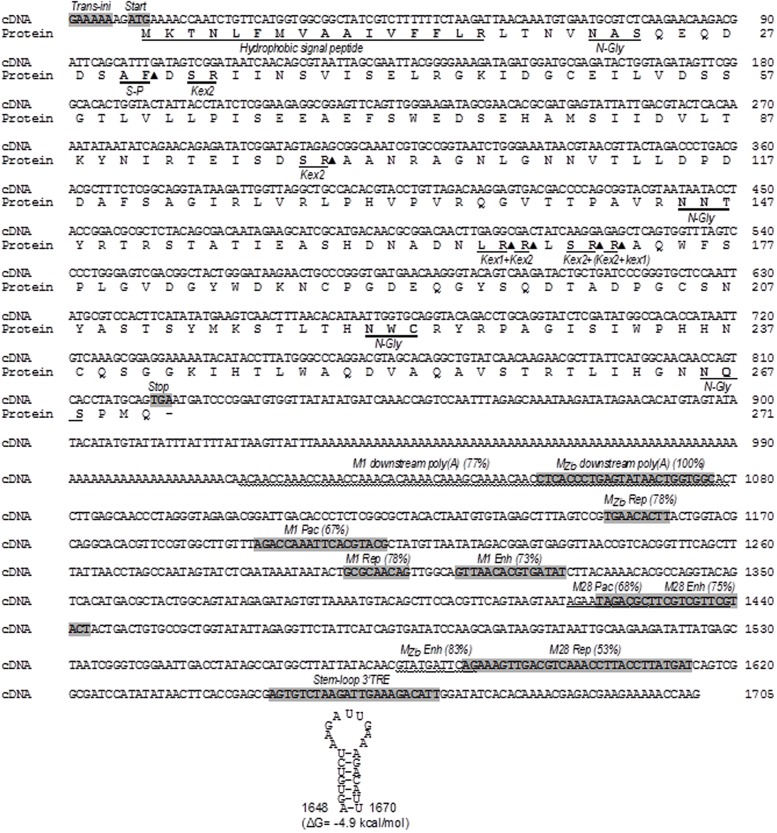 FIGURE 4