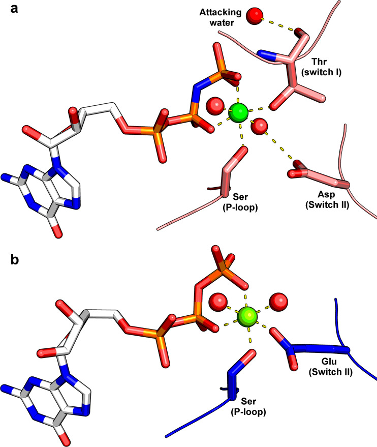 Fig. 6