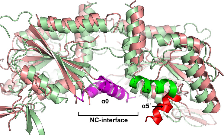 Fig. 11