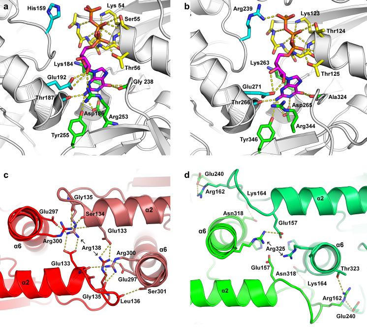Fig. 10