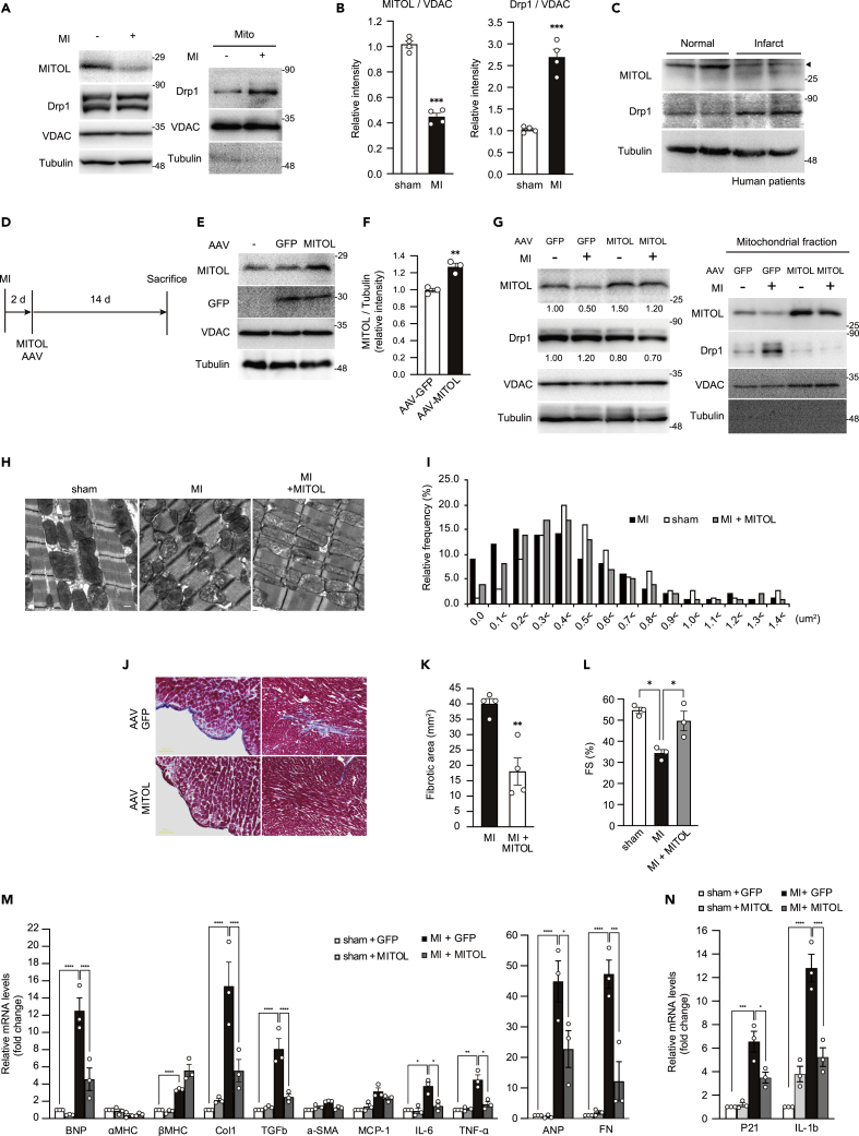 Figure 6