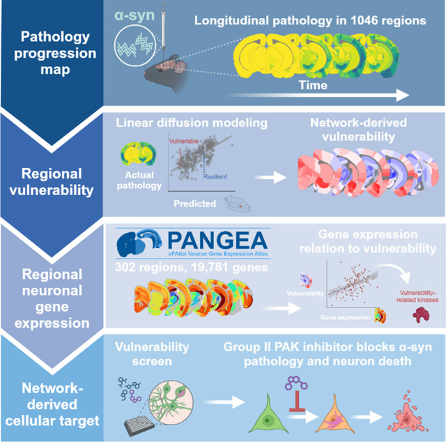 graphic file with name nihpp-2024.10.22.619411v1-f0001.jpg