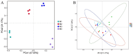 Two plots illustrating principal component analysis results. Plot A shows data points for four groups (M1, M2, M3, M4) in different colors on axes PC1 (47.45%) and PC2 (31.17%). Plot B overlays elliptical confidence intervals for the same groups on axes PC1 (55.15%) and PC2 (17.24%). Each group is represented by distinct markers: cyan circles for M1, red circles for M2, blue circles for M3, and purple circles for M4.