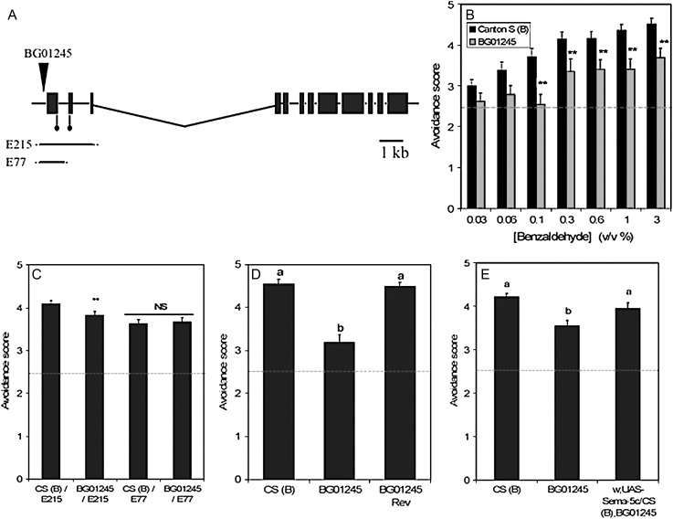 Figure 1.—