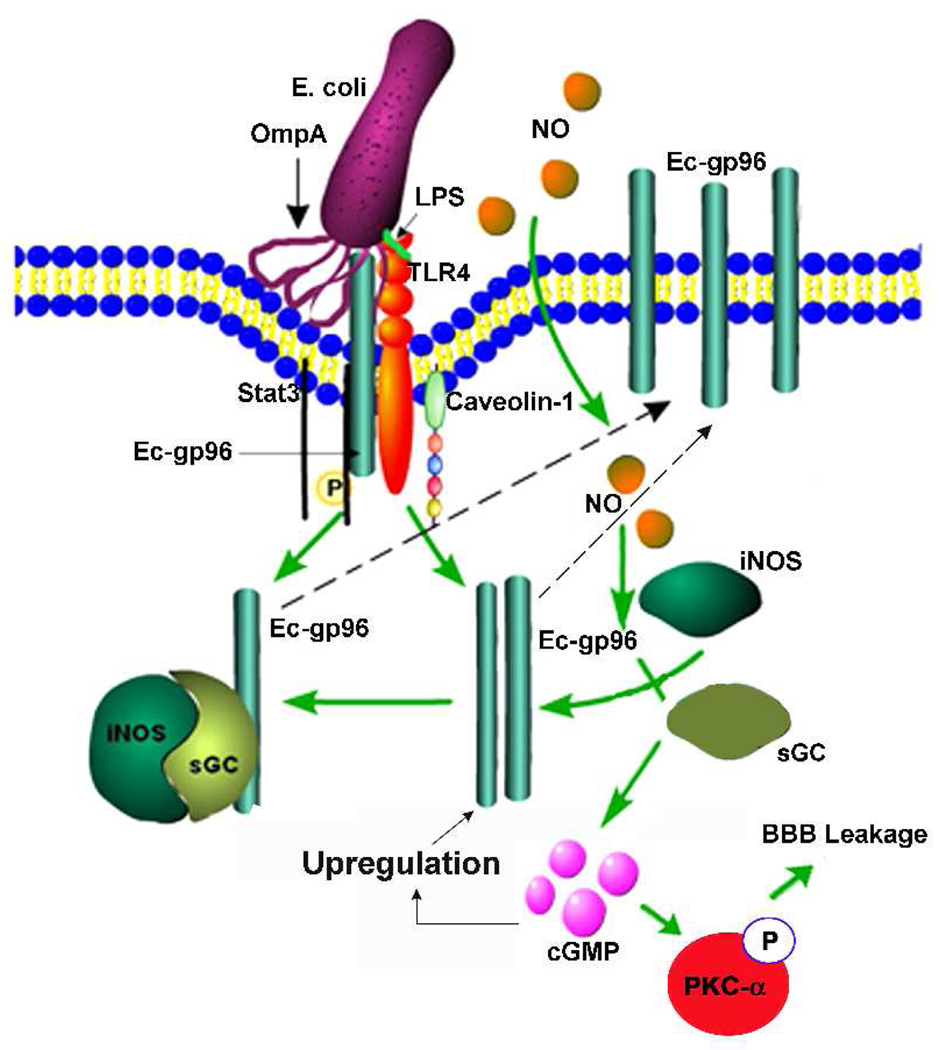 Fig. 11