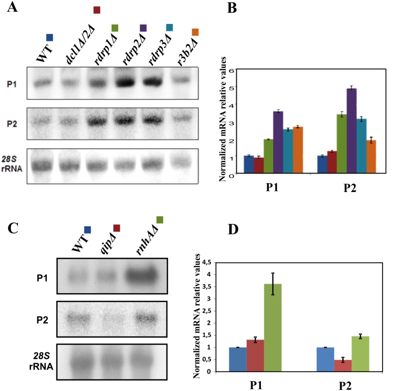 Fig 6