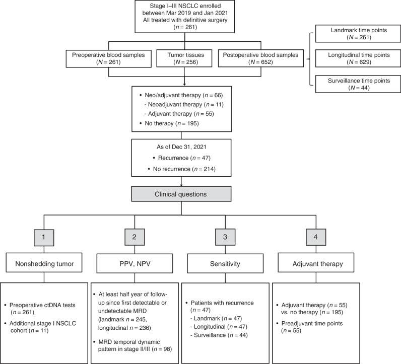 Figure 1. Flow diagram of patient inclusion in subanalyses with clinical questions answered by each analysis denoted. Dec, December.