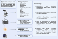 Figure 6: Prognostic prediction of histological features in
glioblastoma