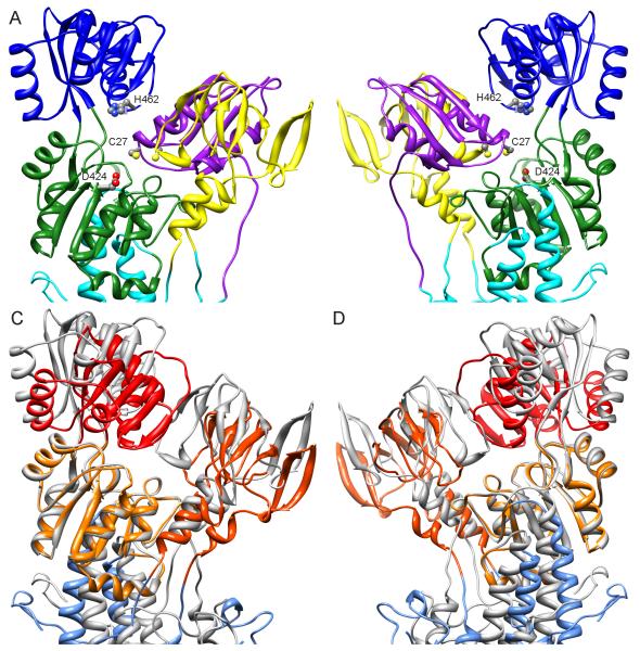 Figure 7