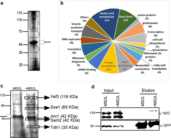 Fig. 2