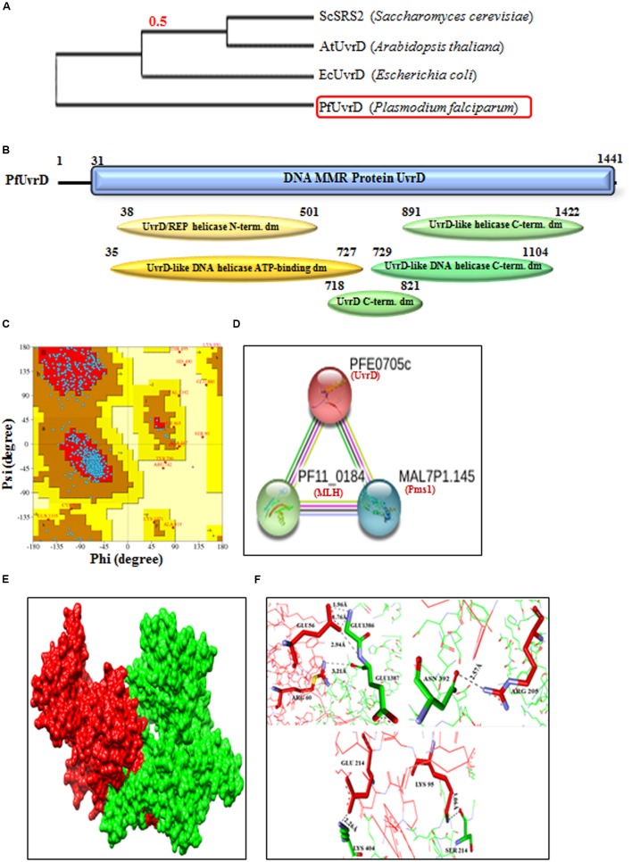 FIGURE 6