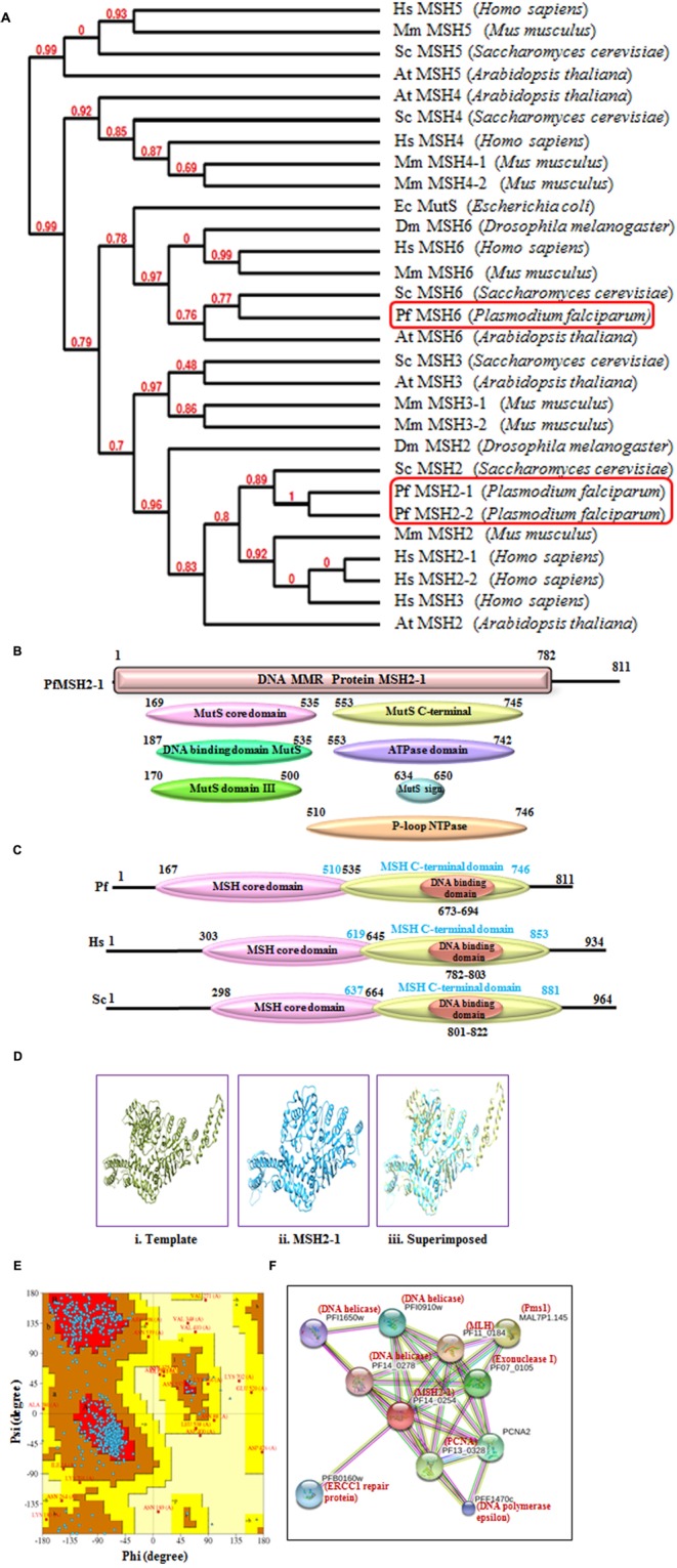 FIGURE 3