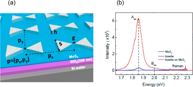 Figure 25