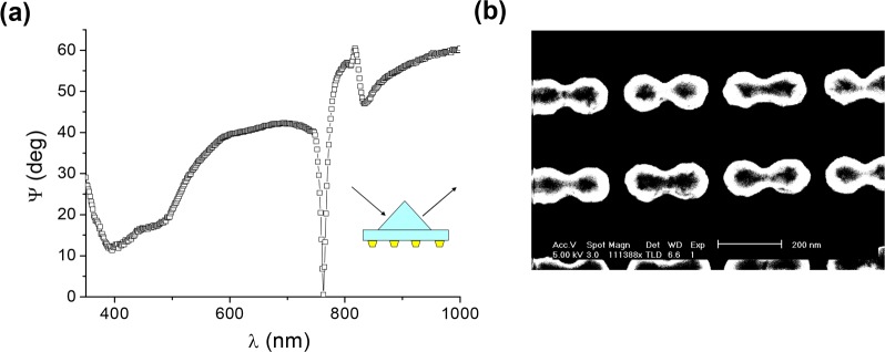 Figure 19