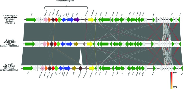 FIG. 2.