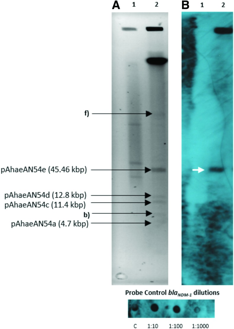 FIG. 1.