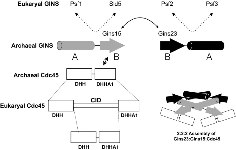 Fig. 6.