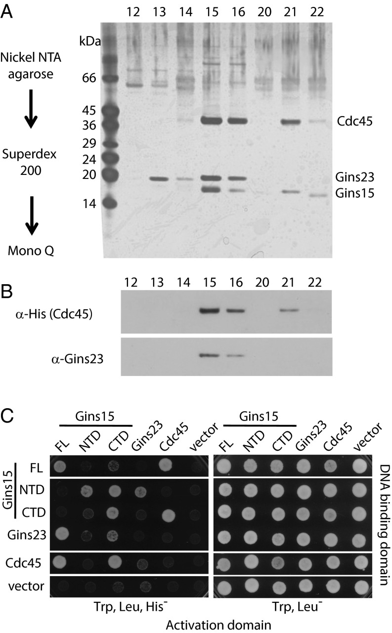 Fig. 2.