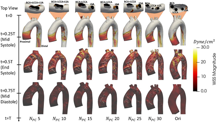 Figure 7