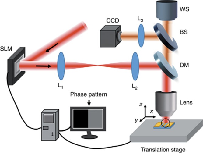 Figure 15