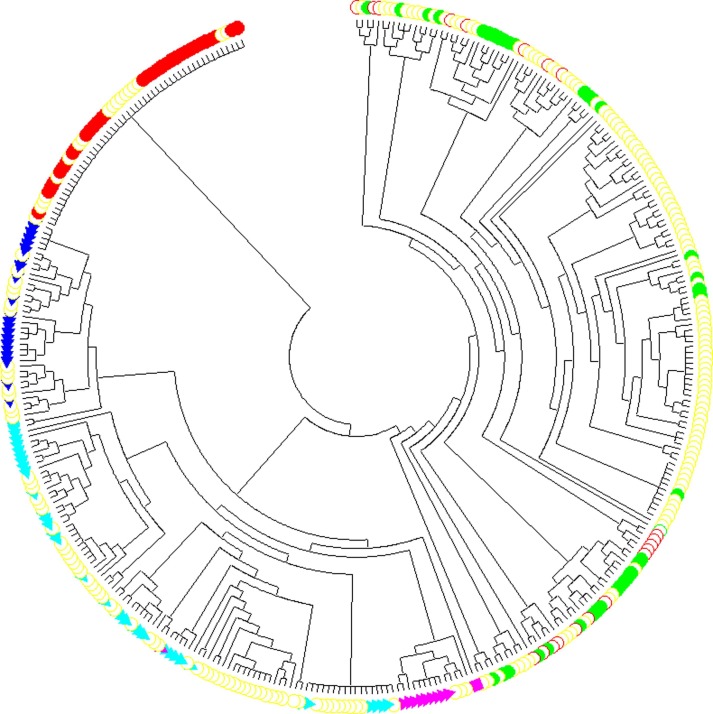 Fig. 3