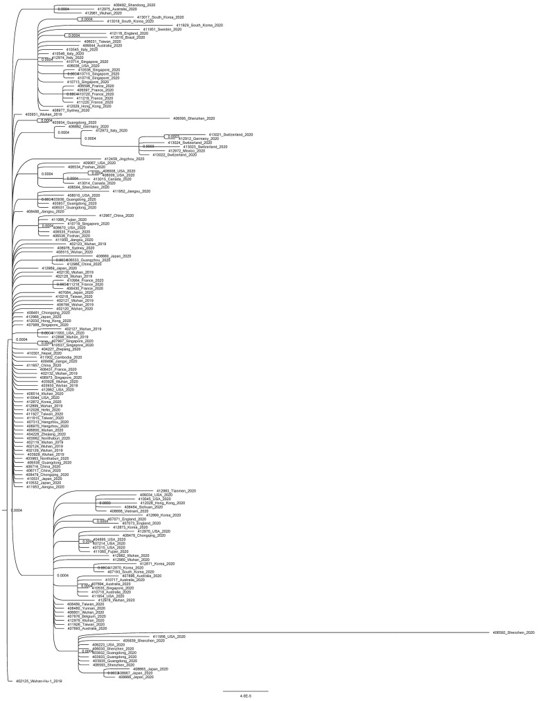 Supplementary figure 4